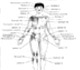 accupressure img